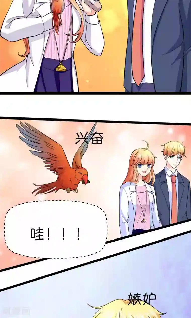 铲屎官也要谈恋爱第38话