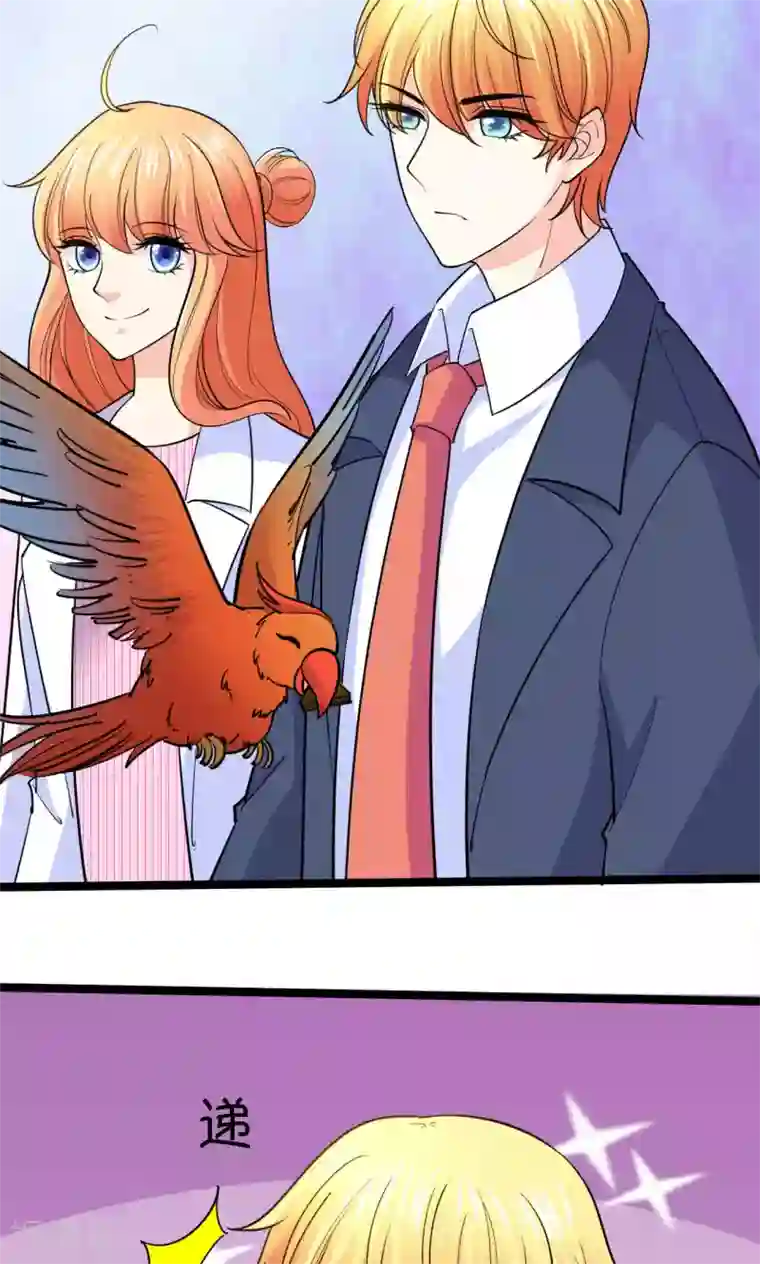 铲屎官也要谈恋爱第38话