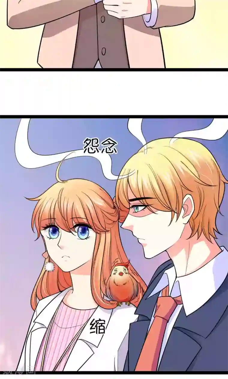 铲屎官也要谈恋爱第39话