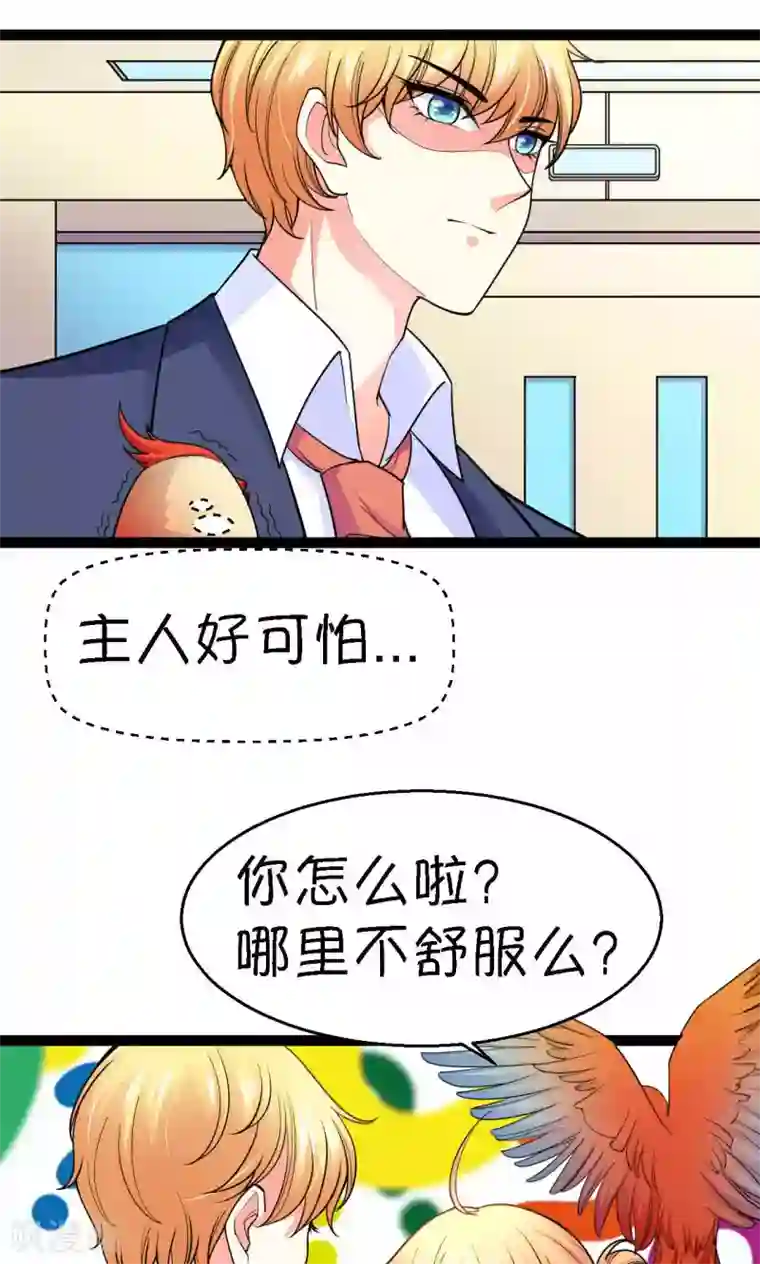 铲屎官也要谈恋爱第39话