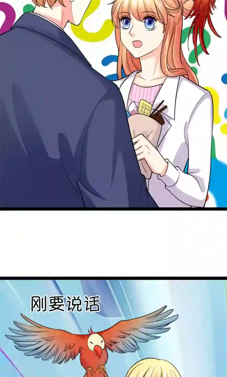 铲屎官也要谈恋爱第39话