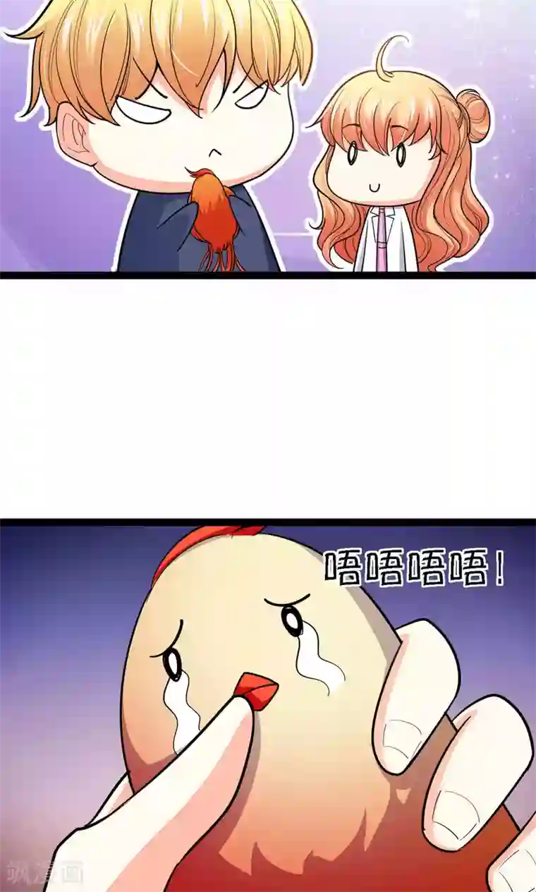 铲屎官也要谈恋爱第39话