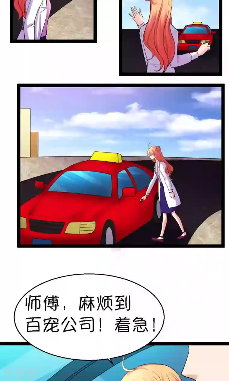 铲屎官也要谈恋爱第40话