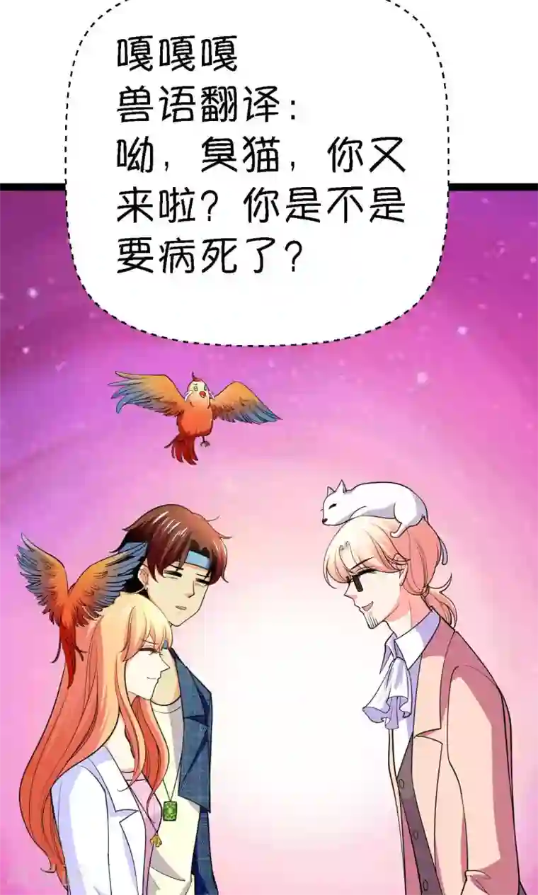 铲屎官也要谈恋爱第41话