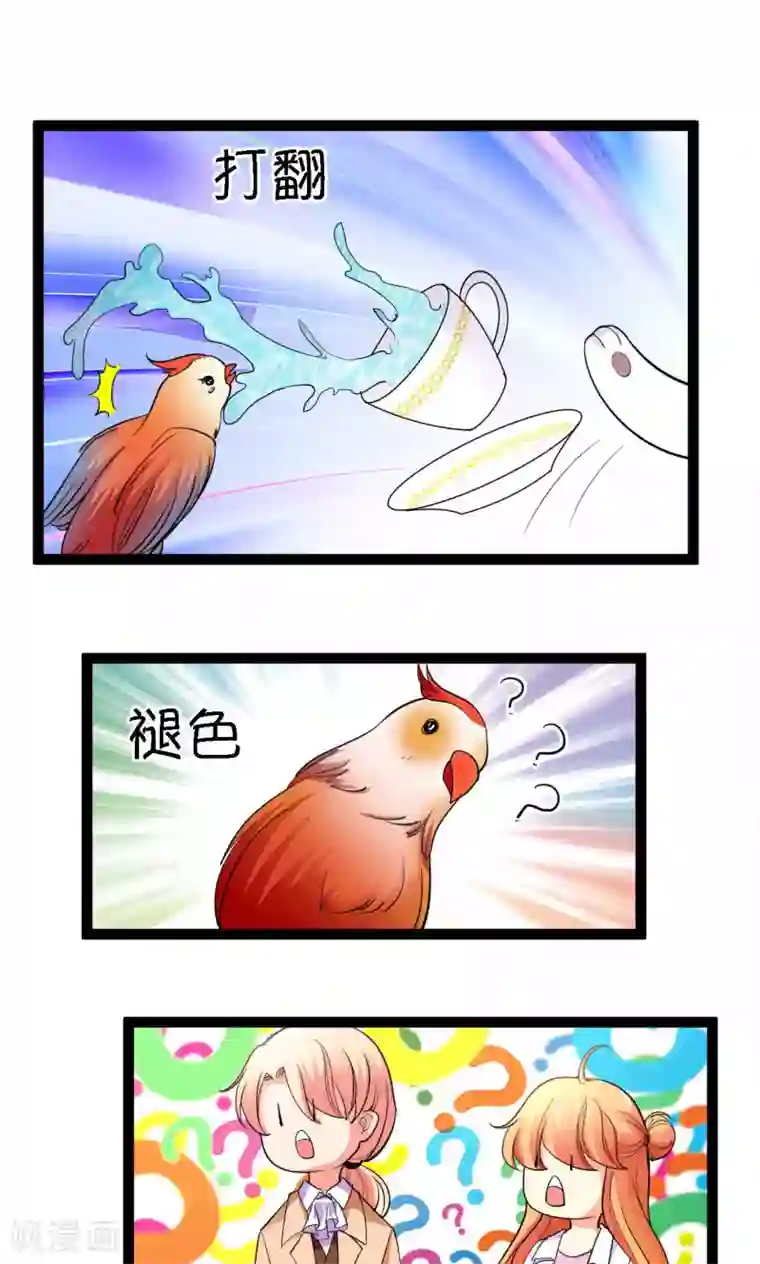 铲屎官也要谈恋爱第41话