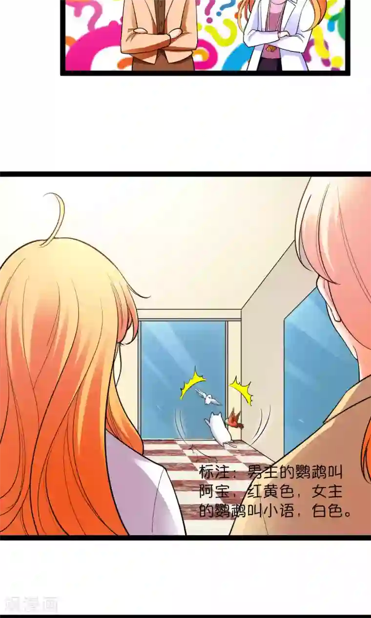 铲屎官也要谈恋爱第41话