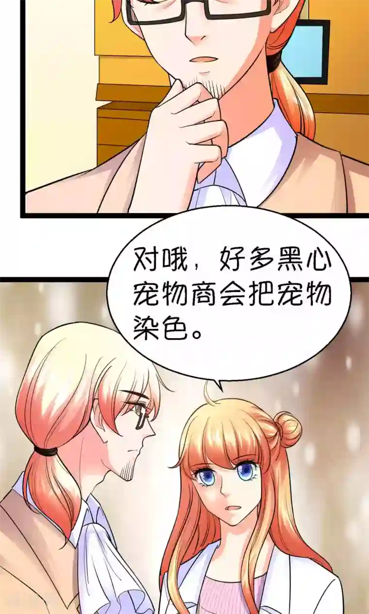 铲屎官也要谈恋爱第41话