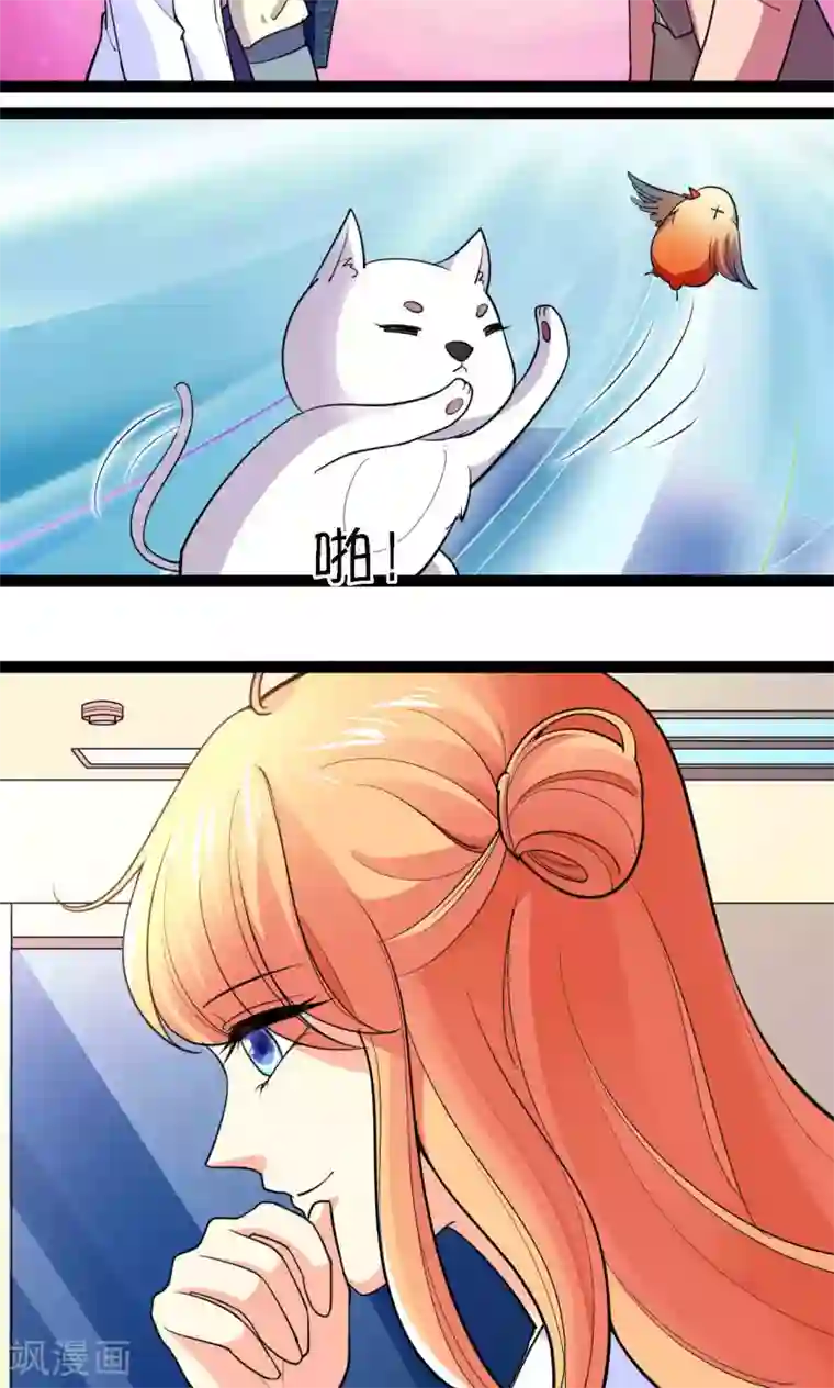 铲屎官也要谈恋爱第41话