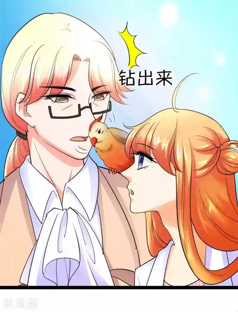 铲屎官也要谈恋爱第41话