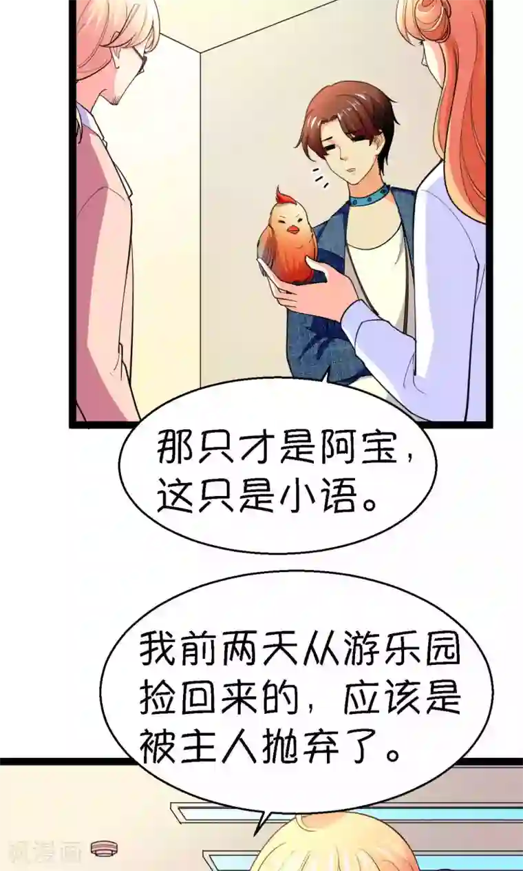 铲屎官也要谈恋爱第41话