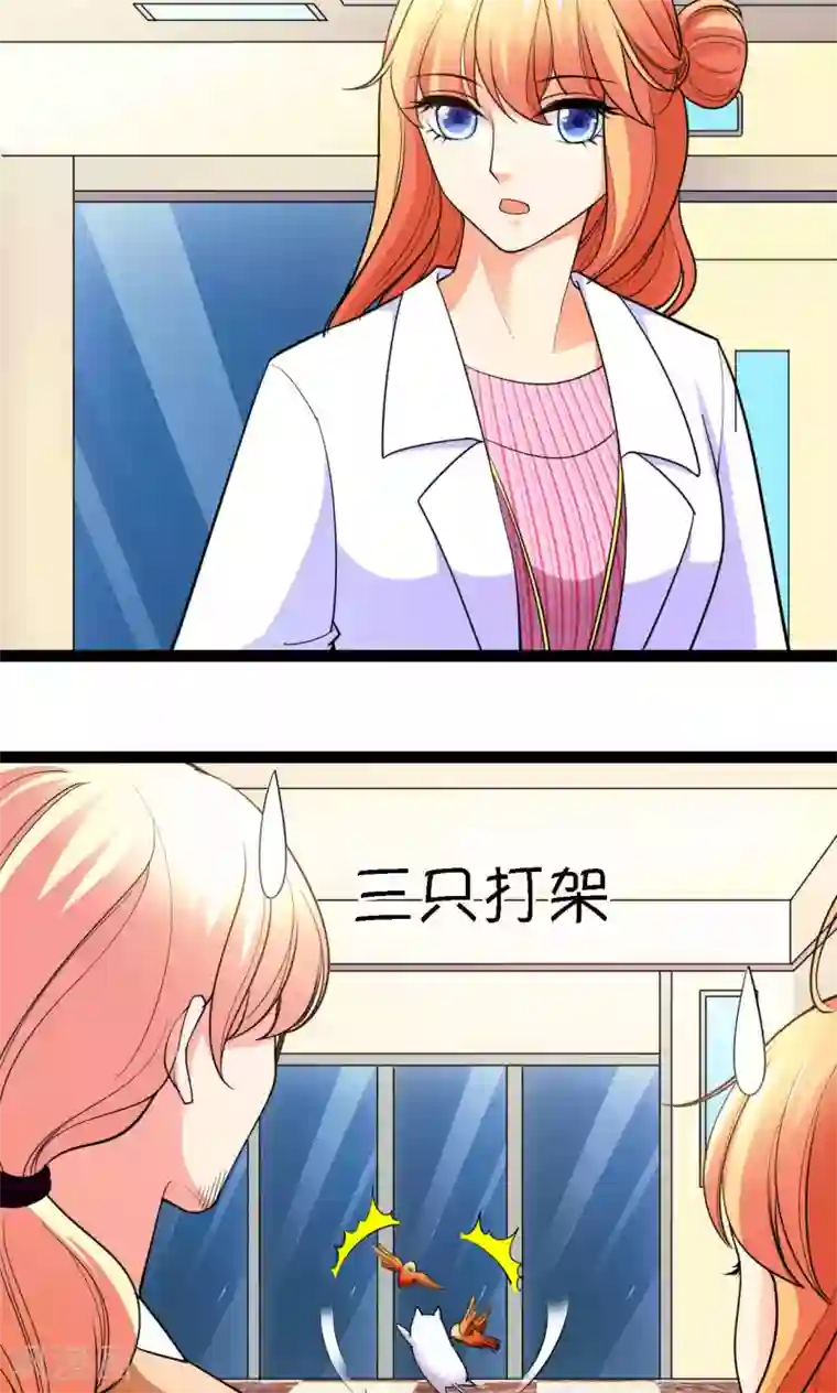 铲屎官也要谈恋爱第41话