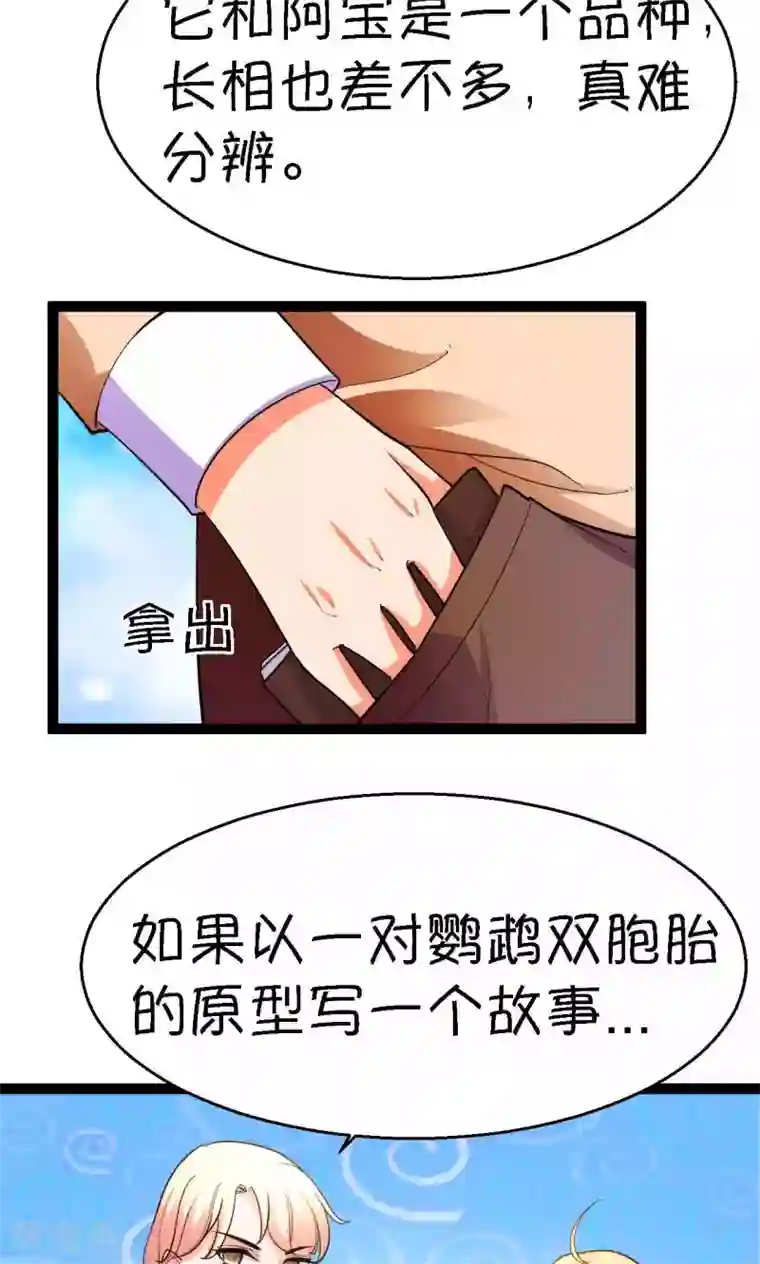 铲屎官也要谈恋爱第41话