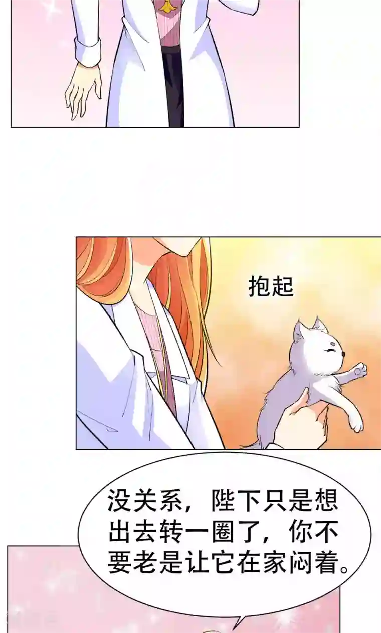 铲屎官也要谈恋爱第42话