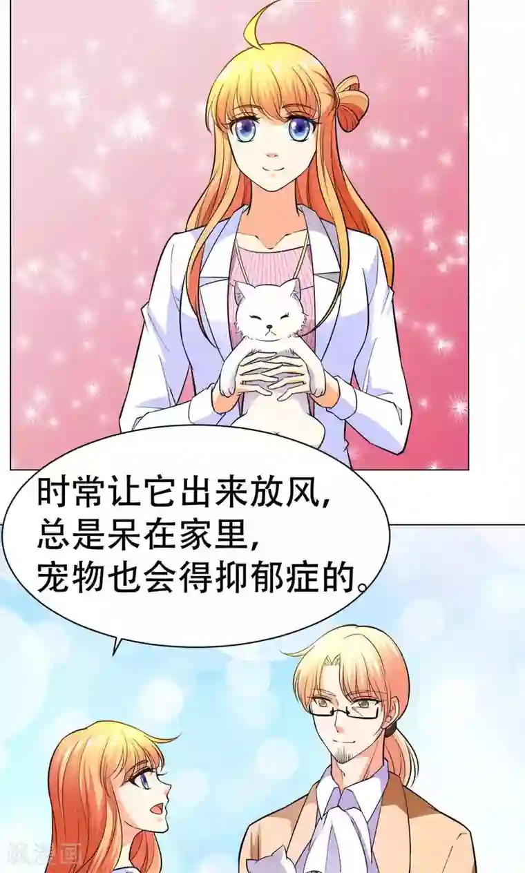 铲屎官也要谈恋爱第42话