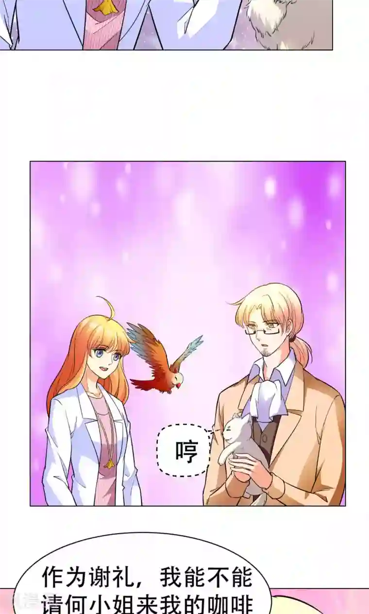 铲屎官也要谈恋爱第42话