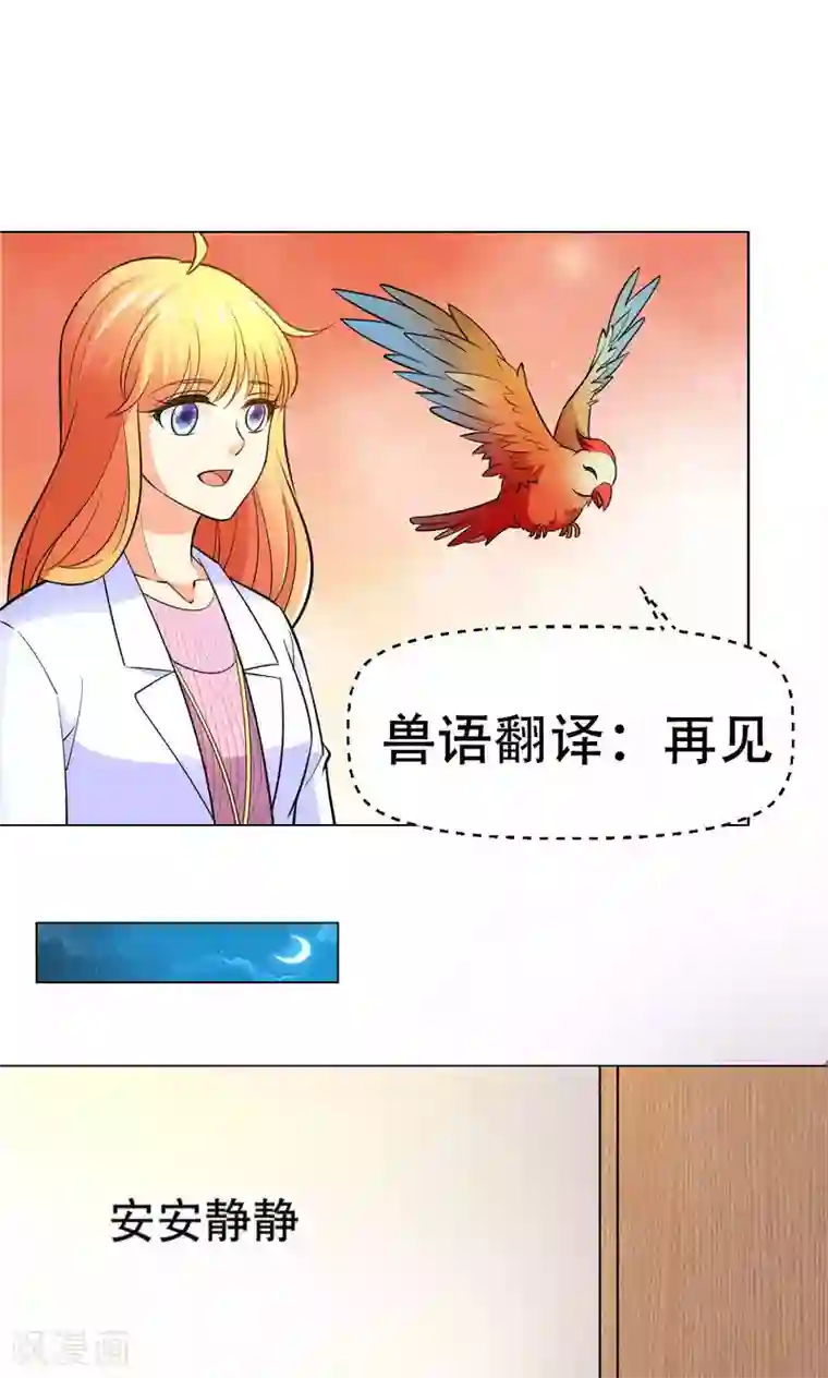 铲屎官也要谈恋爱第42话