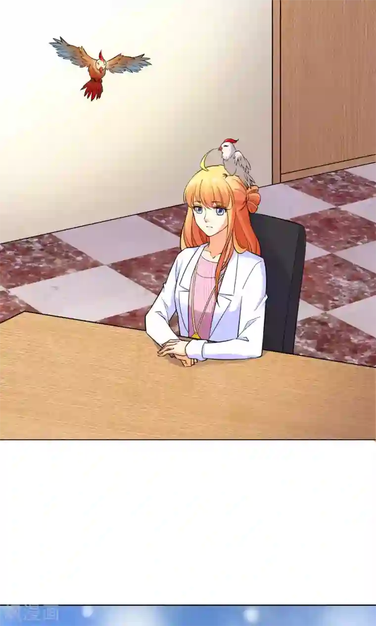 铲屎官也要谈恋爱第42话