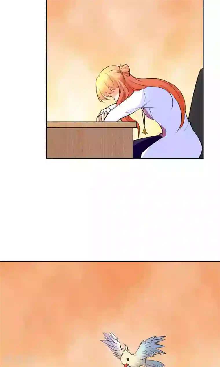 铲屎官也要谈恋爱第42话