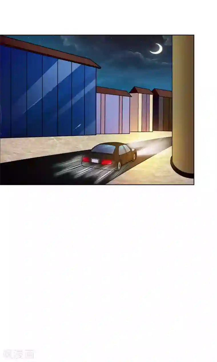 铲屎官也要谈恋爱第42话