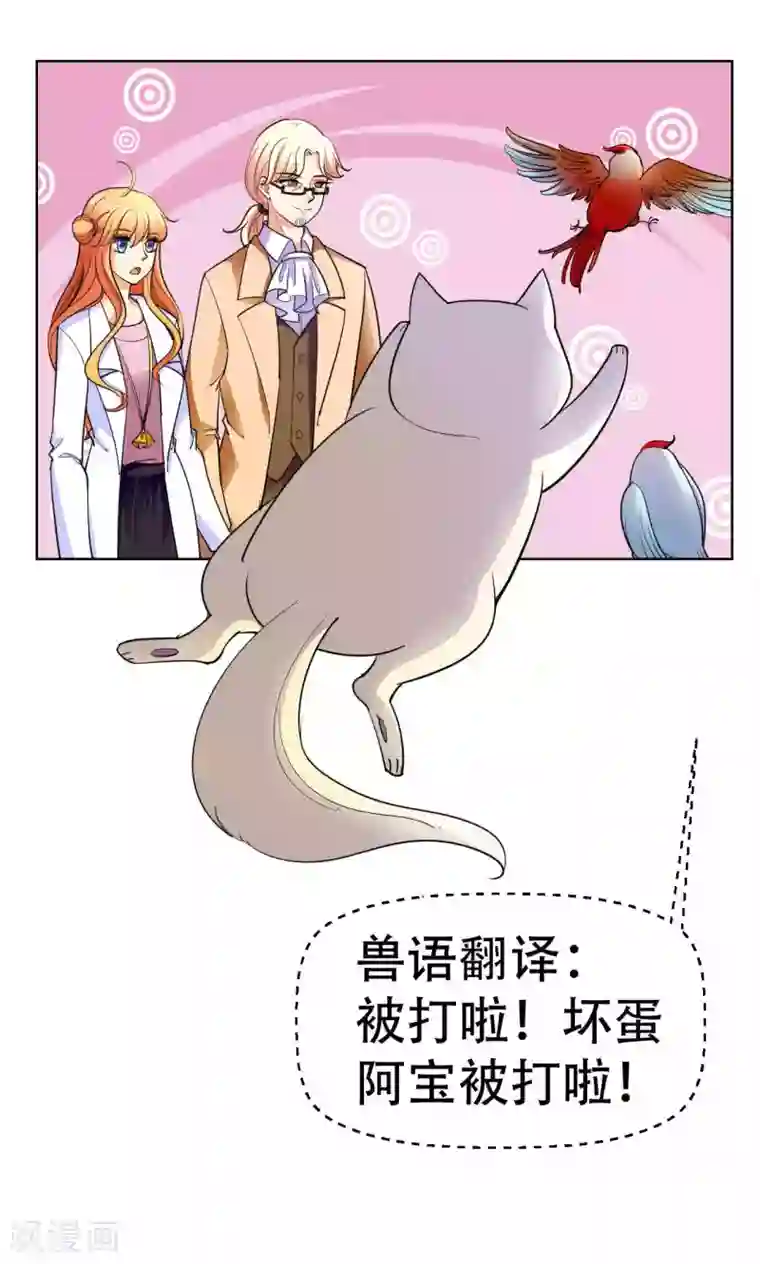 铲屎官也要谈恋爱第42话