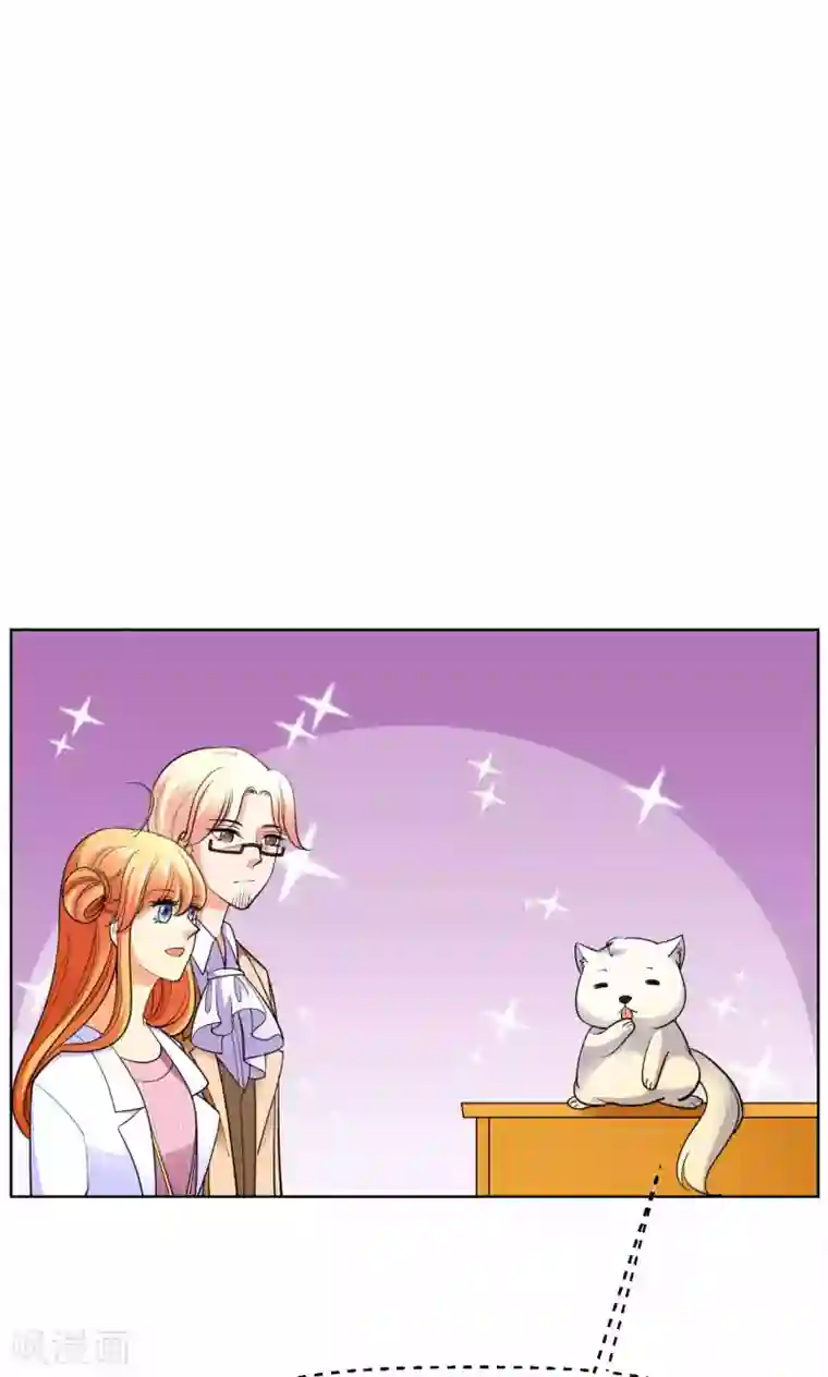 铲屎官也要谈恋爱第42话