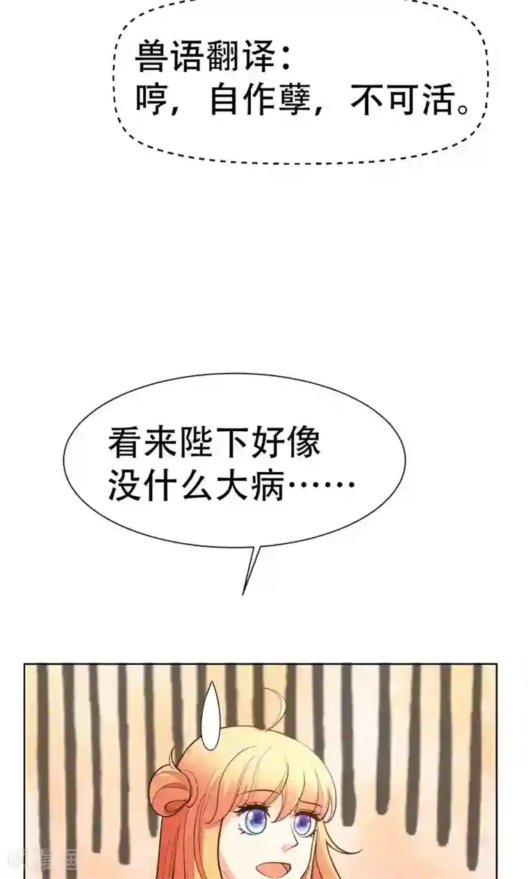 铲屎官也要谈恋爱第42话