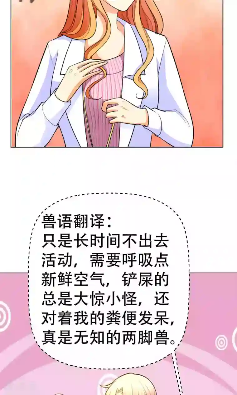 铲屎官也要谈恋爱第42话