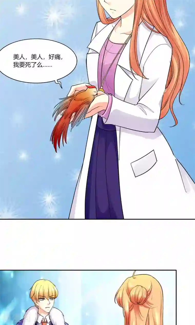 铲屎官也要谈恋爱第44话 纯金式装修