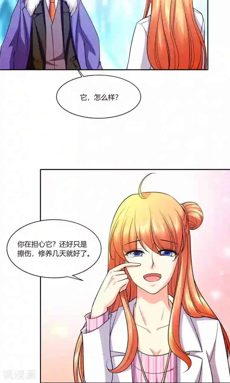 铲屎官也要谈恋爱第44话 纯金式装修