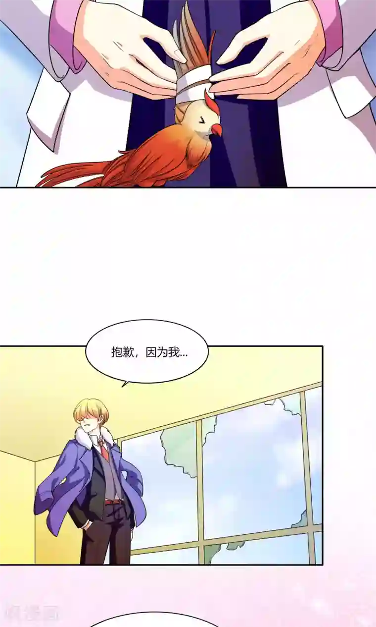 铲屎官也要谈恋爱第44话 纯金式装修