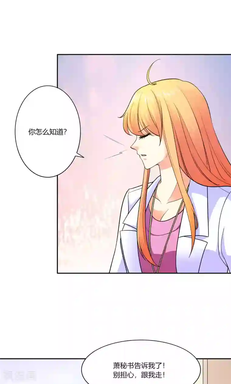 铲屎官也要谈恋爱第44话 纯金式装修