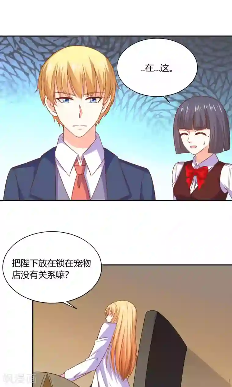 铲屎官也要谈恋爱第46话 表白风波