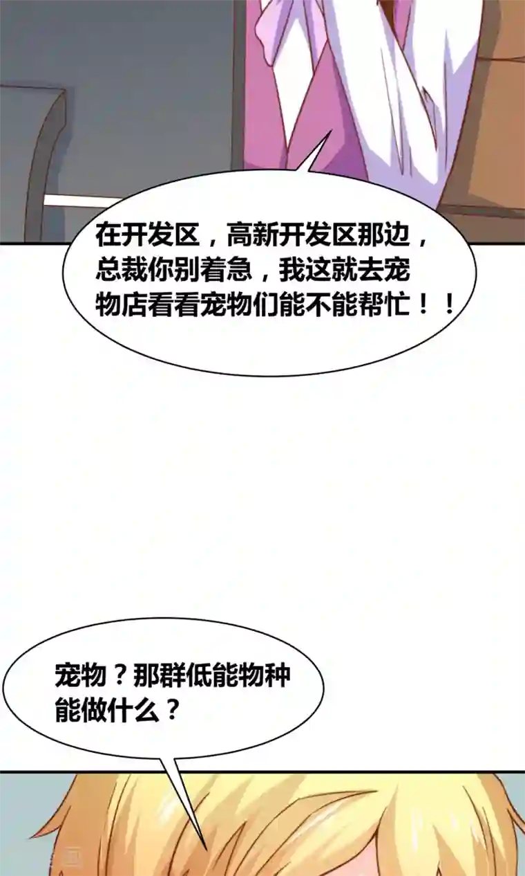 铲屎官也要谈恋爱第49话 猫成精了