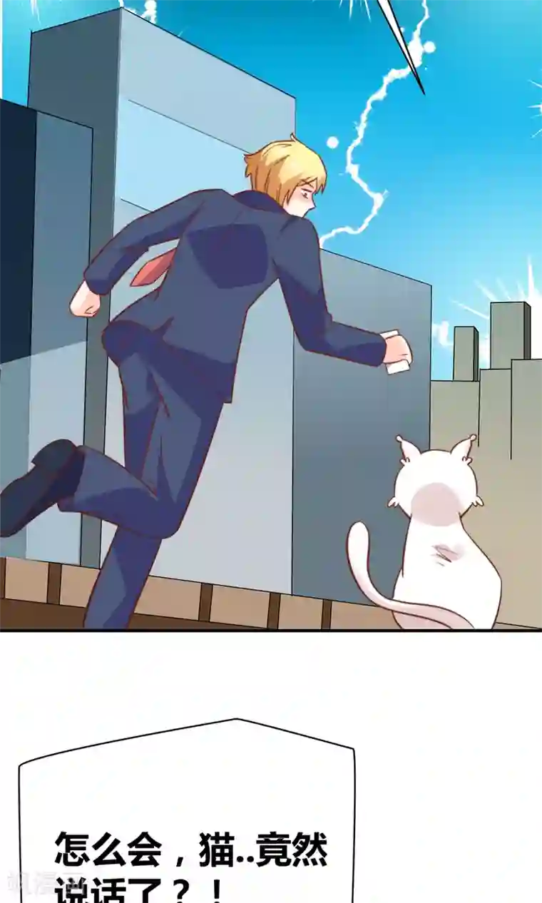 铲屎官也要谈恋爱第49话 猫成精了