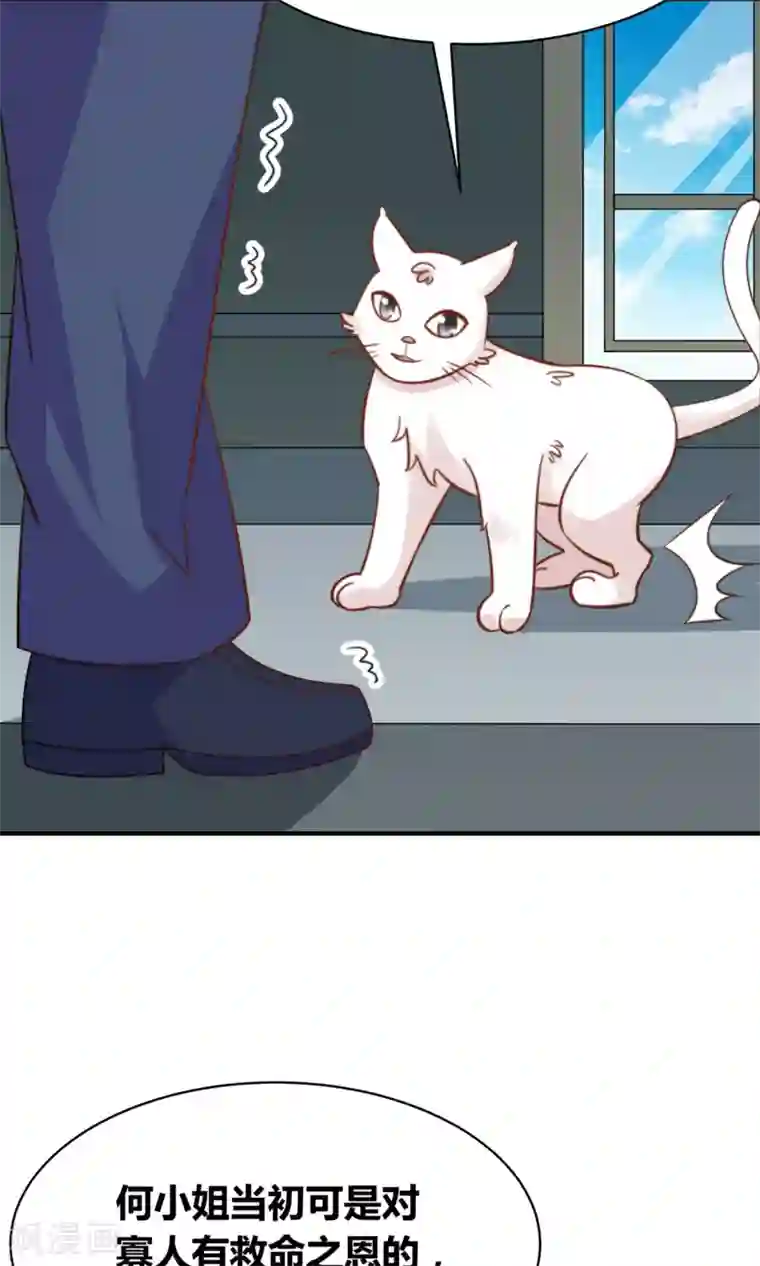 铲屎官也要谈恋爱第49话 猫成精了