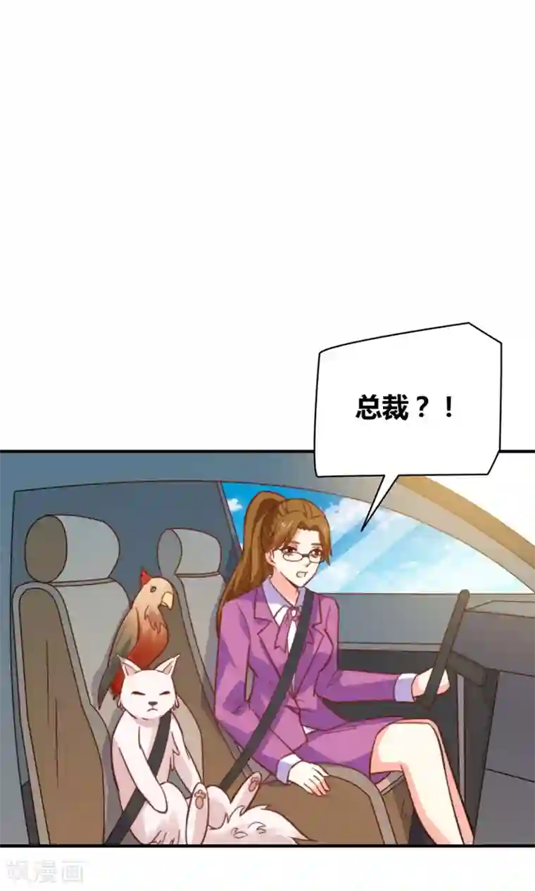 铲屎官也要谈恋爱第49话 猫成精了