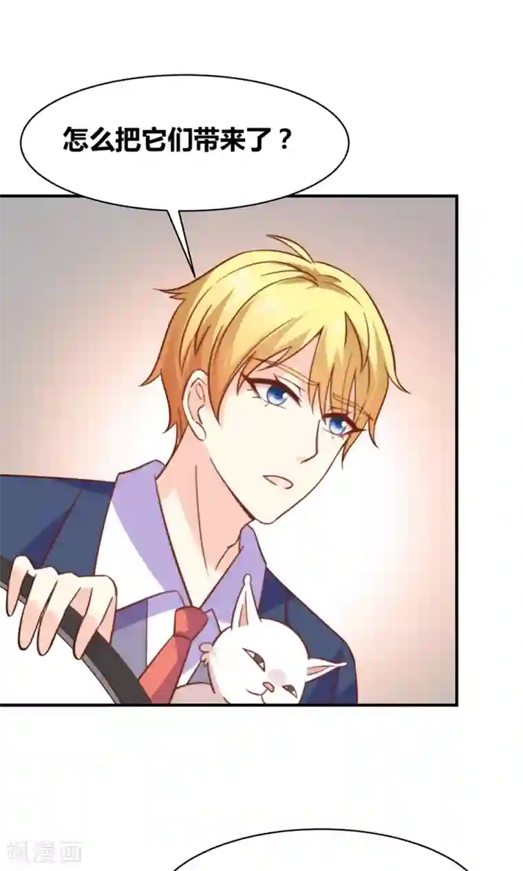 铲屎官也要谈恋爱第49话 猫成精了