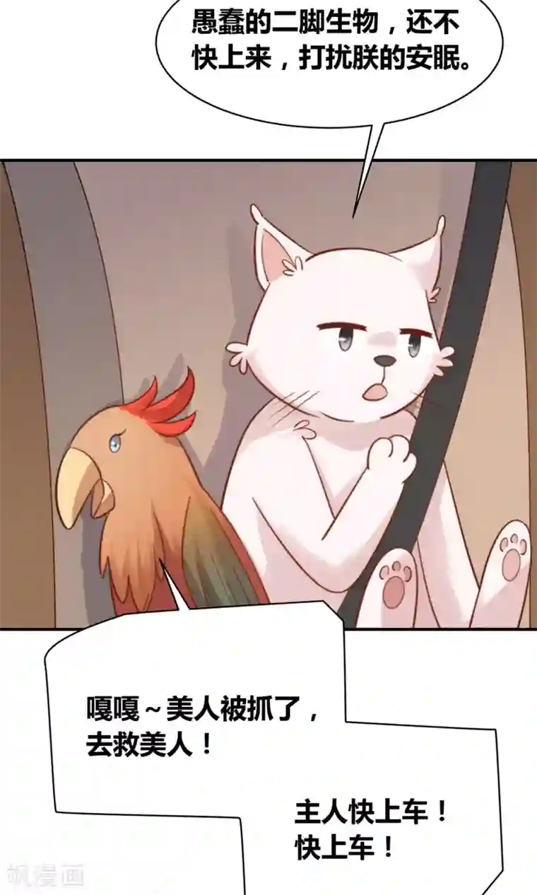 铲屎官也要谈恋爱第49话 猫成精了