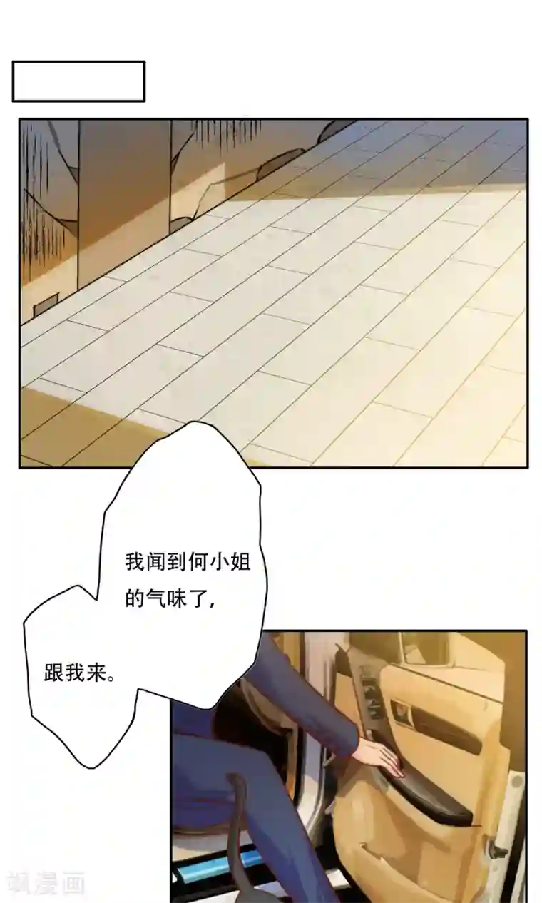 铲屎官也要谈恋爱最终话 完美收官