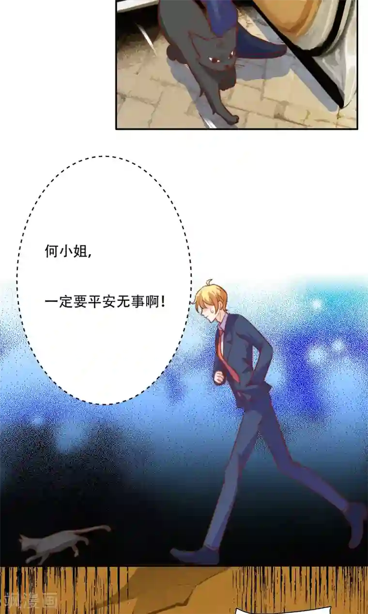 铲屎官也要谈恋爱最终话 完美收官