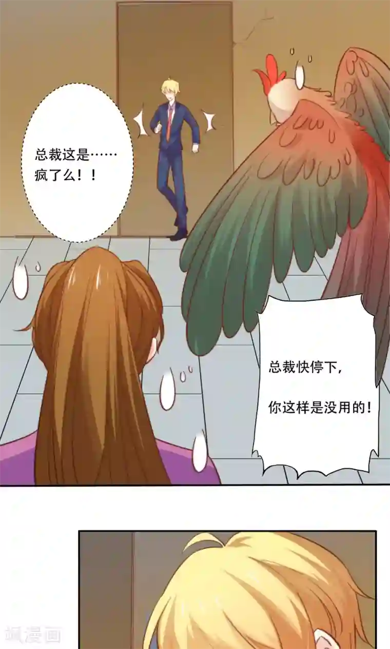 铲屎官也要谈恋爱最终话 完美收官