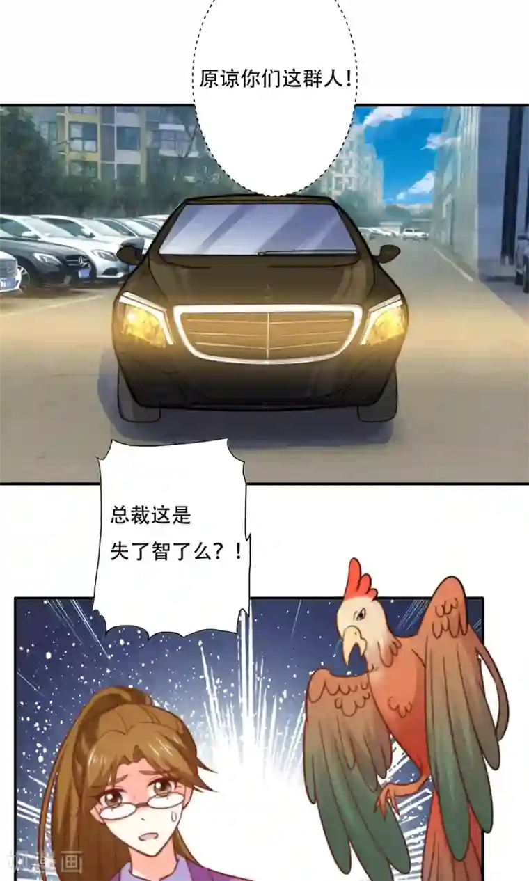 铲屎官也要谈恋爱最终话 完美收官