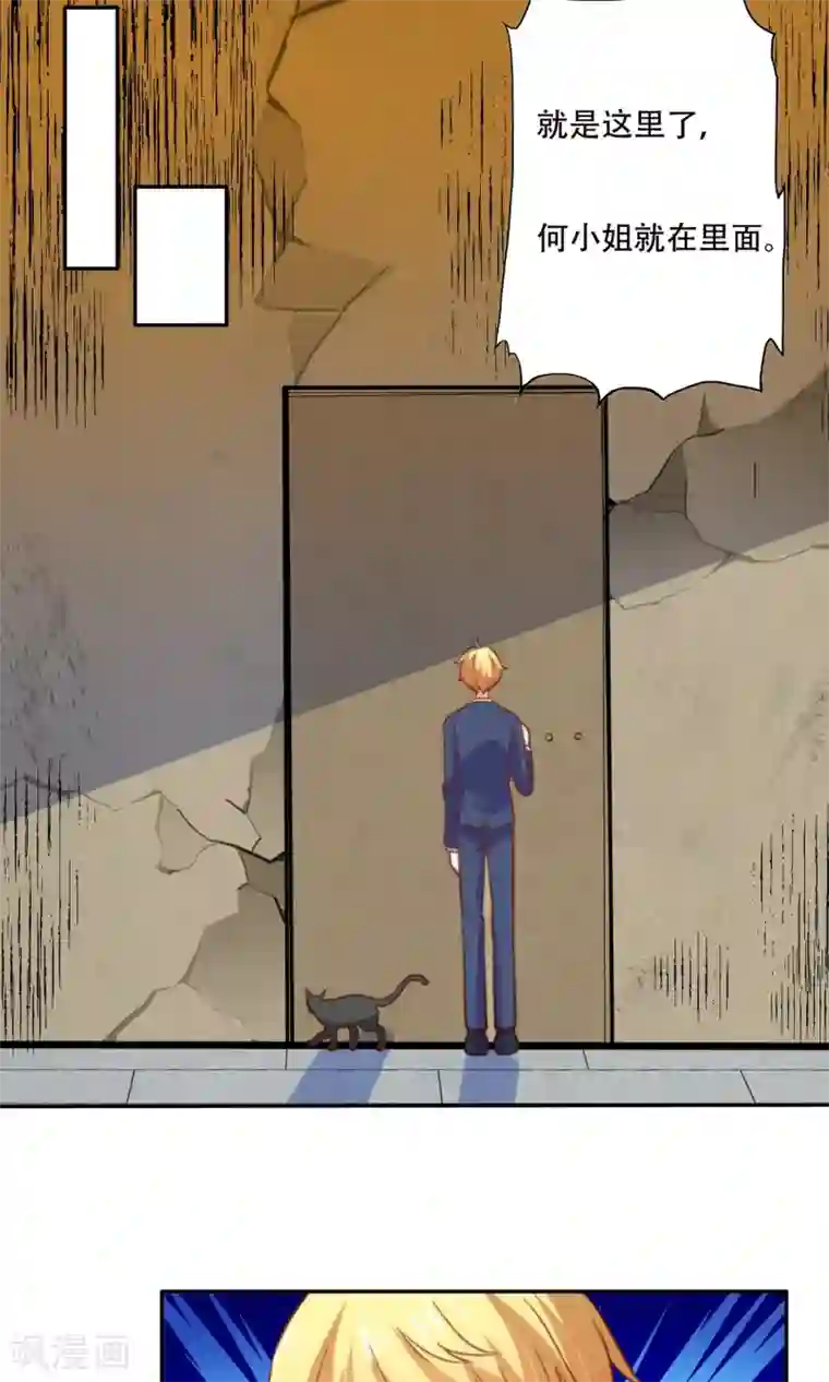 铲屎官也要谈恋爱最终话 完美收官