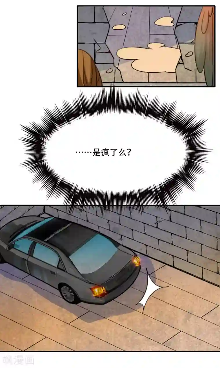 铲屎官也要谈恋爱最终话 完美收官