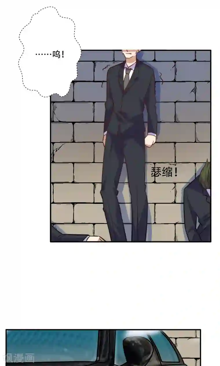 铲屎官也要谈恋爱最终话 完美收官