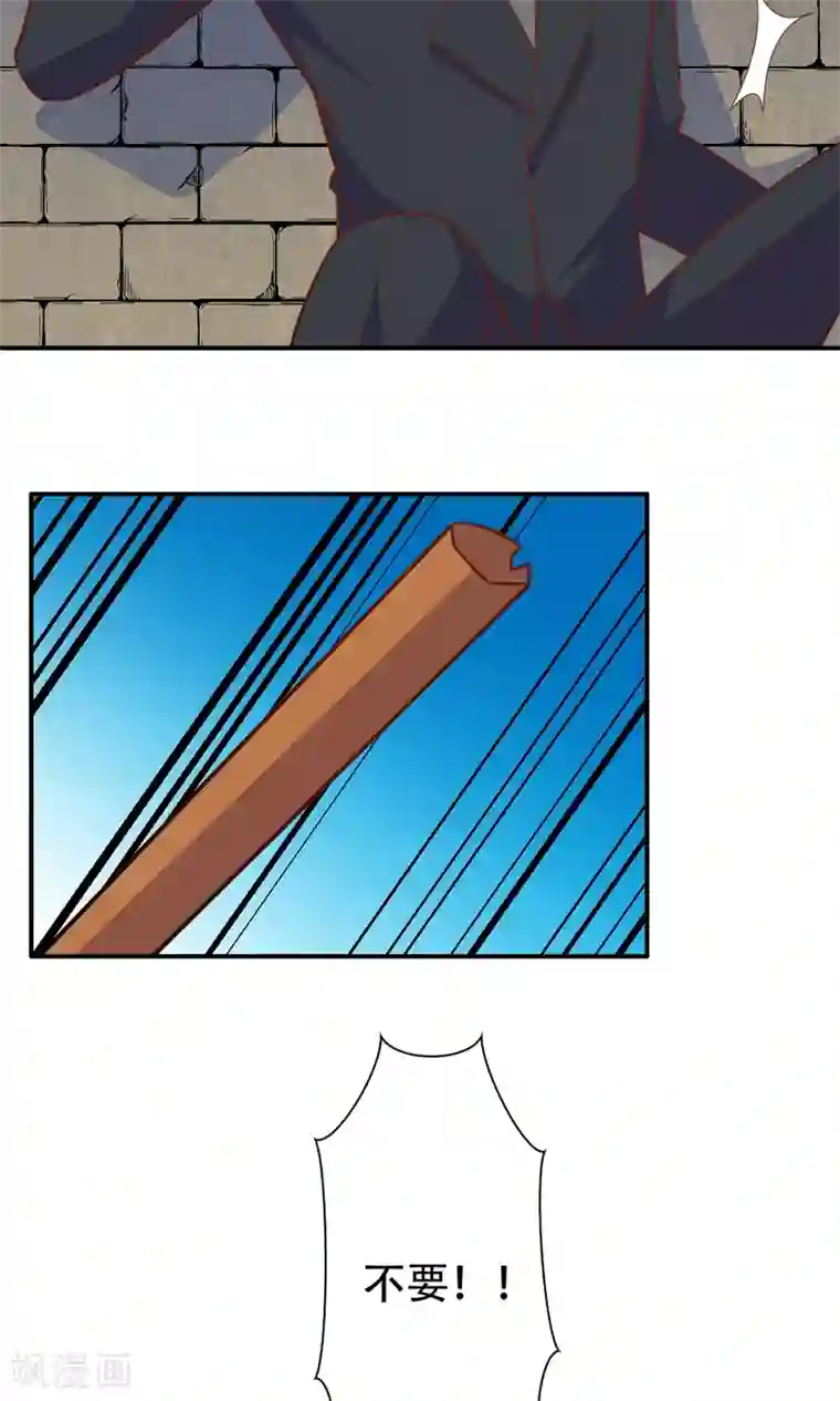 铲屎官也要谈恋爱最终话 完美收官