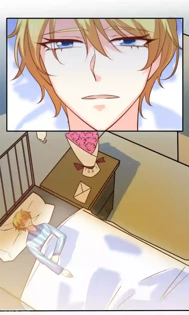 铲屎官也要谈恋爱最终话 完美收官