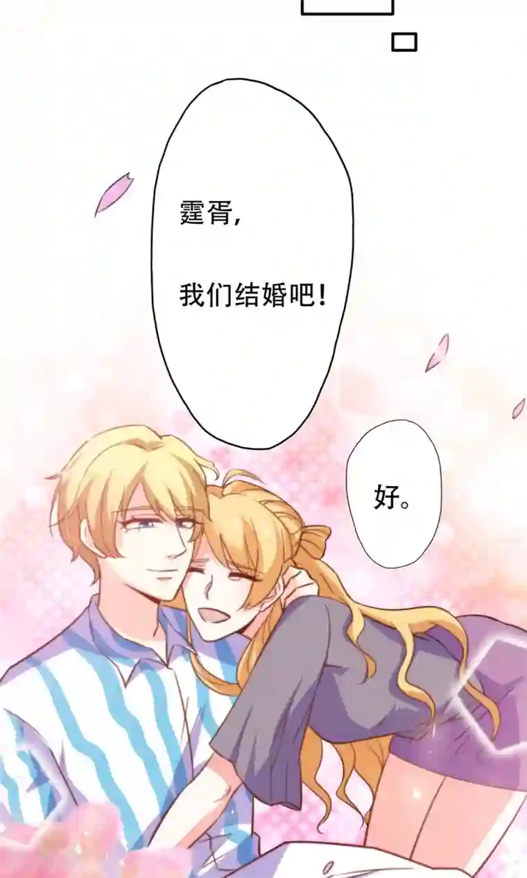 铲屎官也要谈恋爱最终话 完美收官