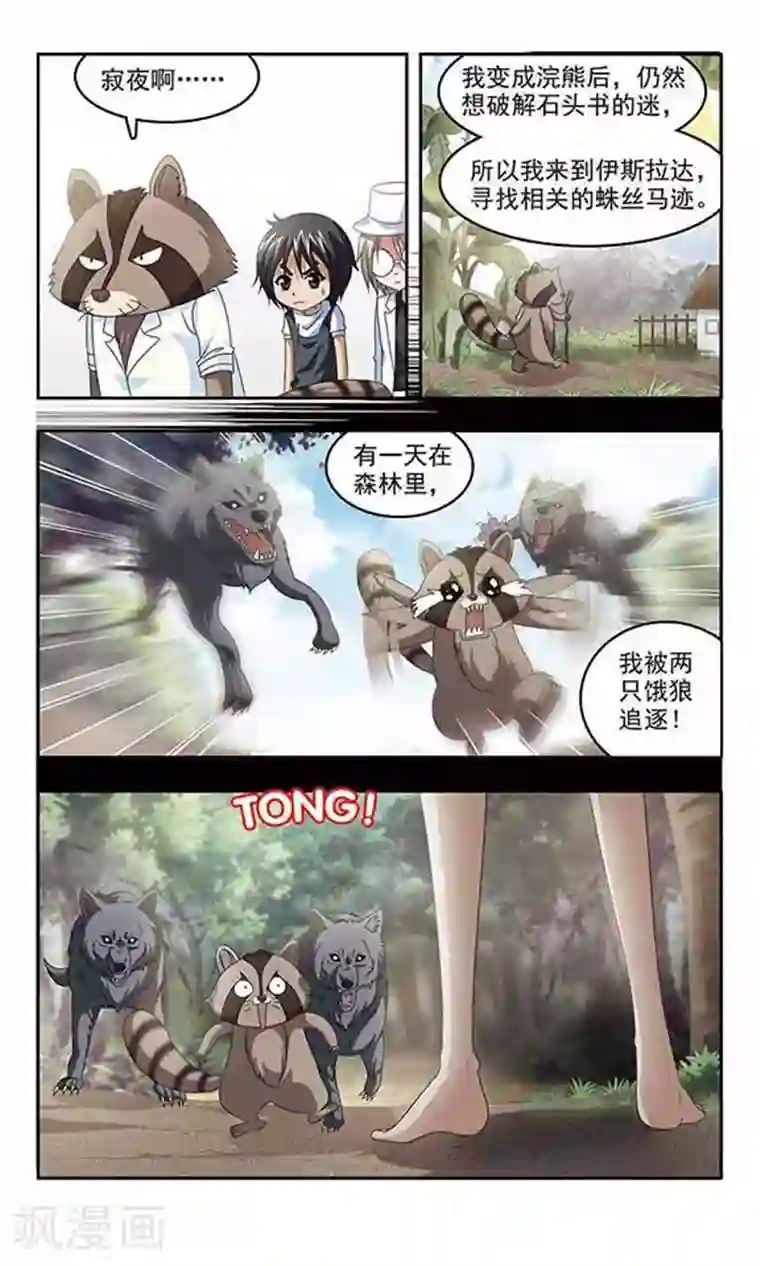 苍炎燃月第24话 浣熊教授的故事