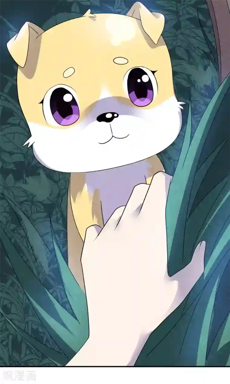 心动驸马千千岁第6话 万圣公主拿命来